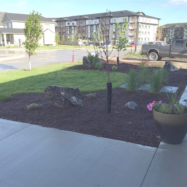 Brown Mulch, trees, sod, stepping stones, shrubs, flowers, bolders