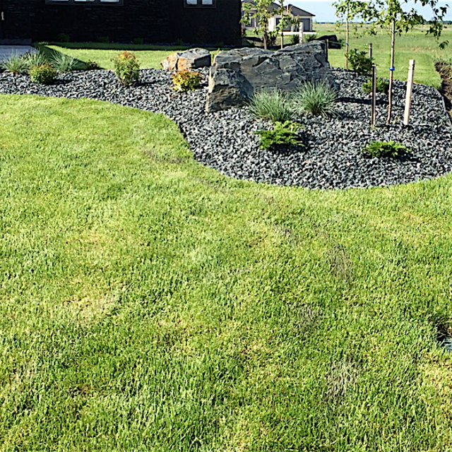 Trees, Bolders, Black Granite, Shrubs, Sod